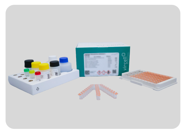 DENGUE ELISA IgM CAPTURE