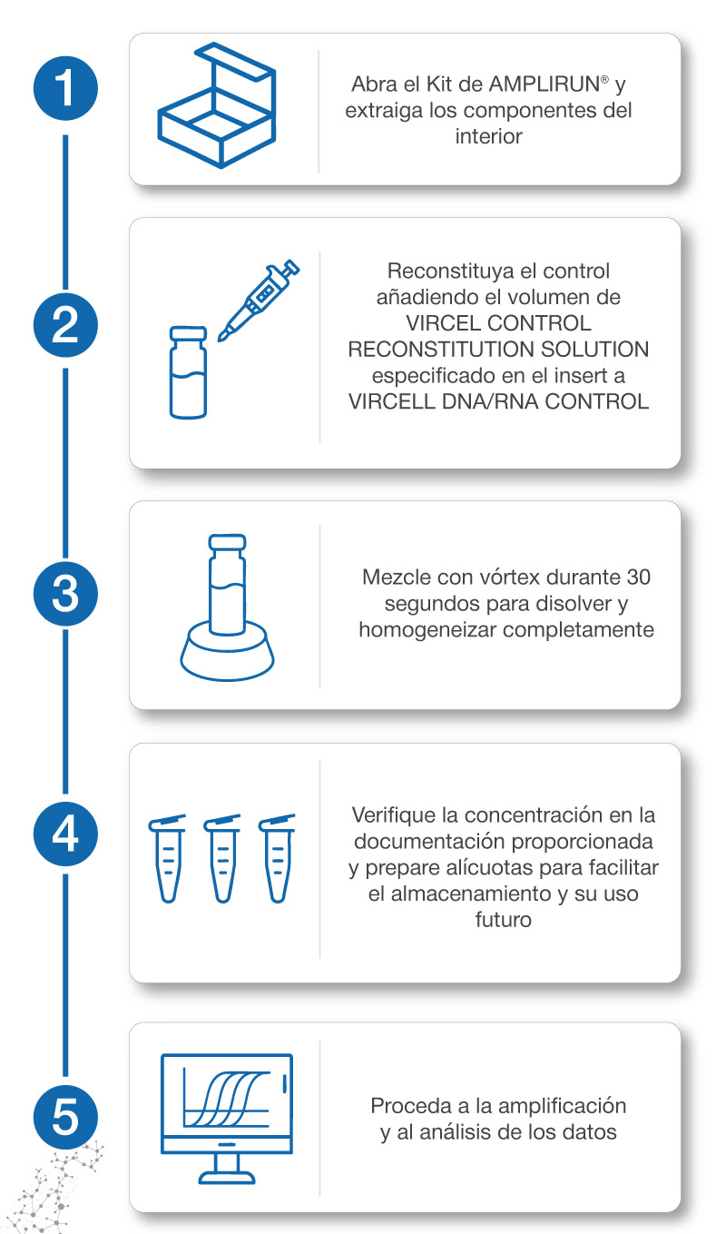 funcionamiento amplirun web