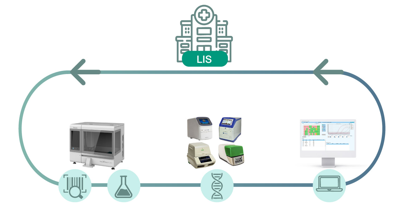 Como funciona VirCom Molecular